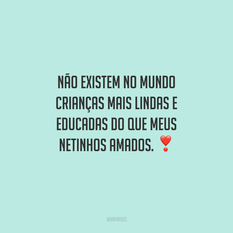 Não existem no mundo crianças mais lindas e educadas do que meus netinhos amados.