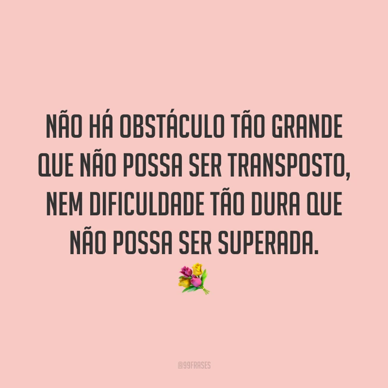 Não há obstáculo tão grande que não possa ser transposto, nem dificuldade tão dura que não possa ser superada. 💐