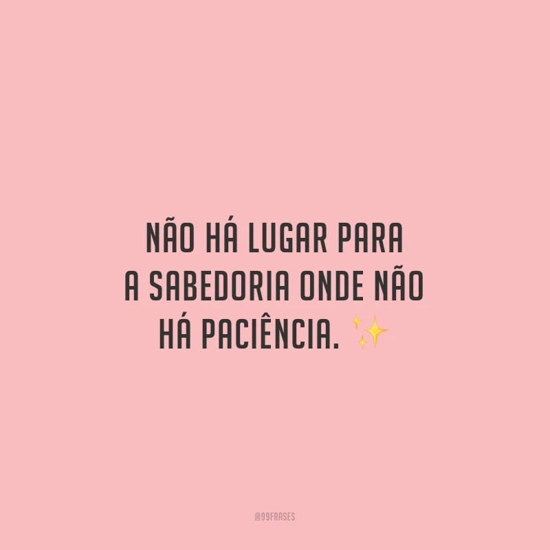 Não há lugar para a sabedoria onde não há paciência.