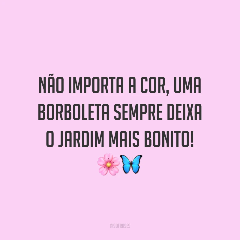 Não importa a cor, uma borboleta sempre deixa o jardim mais bonito! 🌸🦋