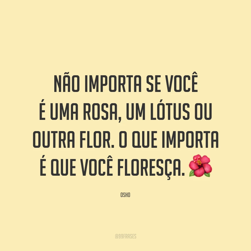 Não importa se você é uma rosa, um lótus ou outra flor. O que importa é que você floresça. 🌺