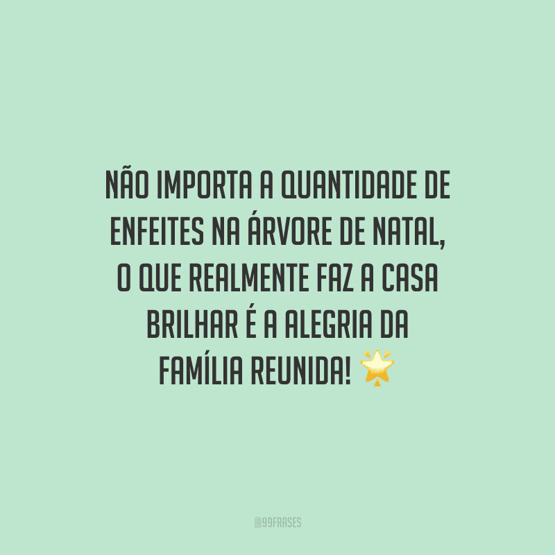 Não importa a quantidade de enfeites na árvore de Natal, o que realmente faz a casa brilhar é a alegria da família reunida!