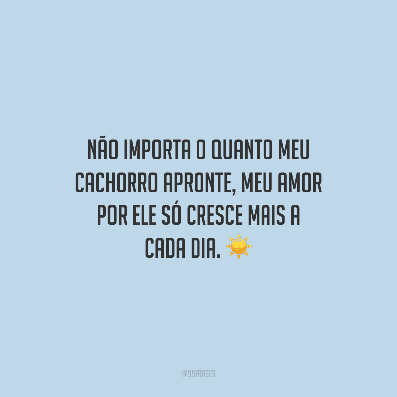 Não importa o quanto meu cachorro apronte, meu amor por ele só cresce mais a cada dia.