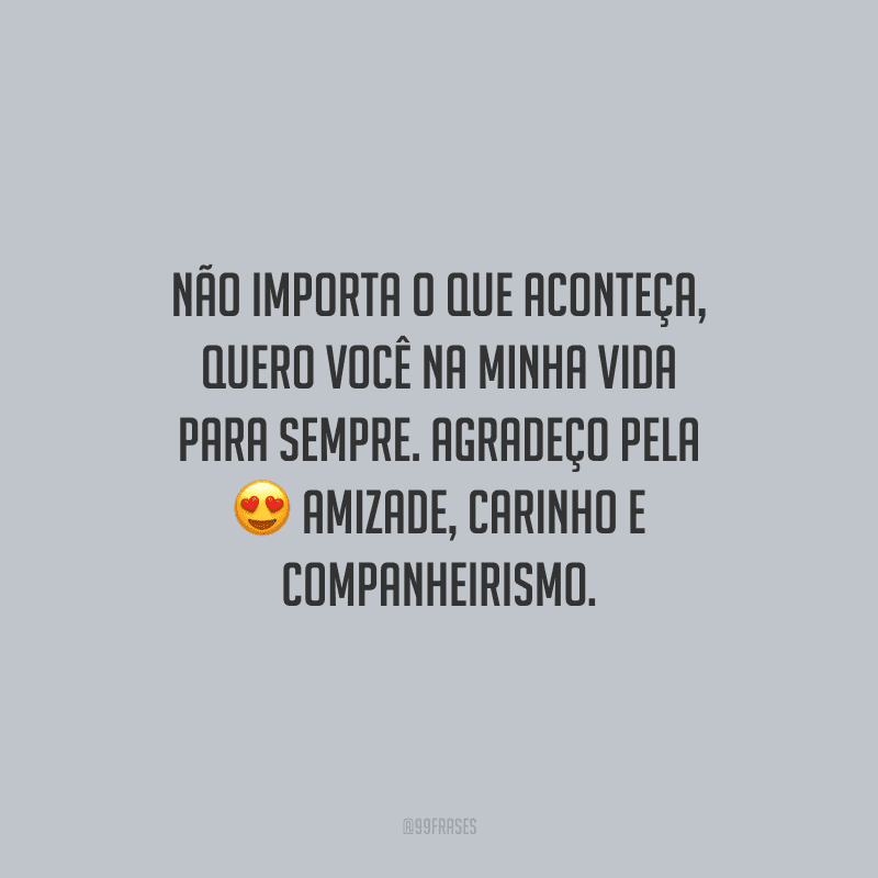 Não importa o que aconteça, quero você na minha vida para sempre. Agradeço pela amizade, carinho e companheirismo.