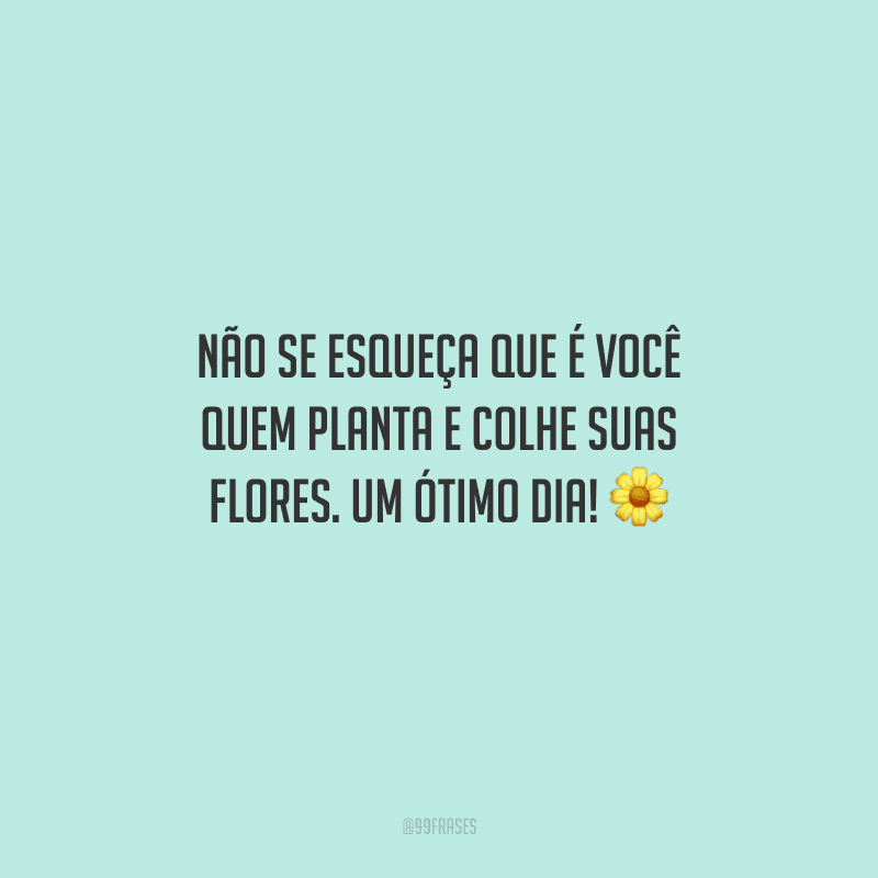 Não se esqueça que é você quem planta e colhe suas flores. Um ótimo dia! 