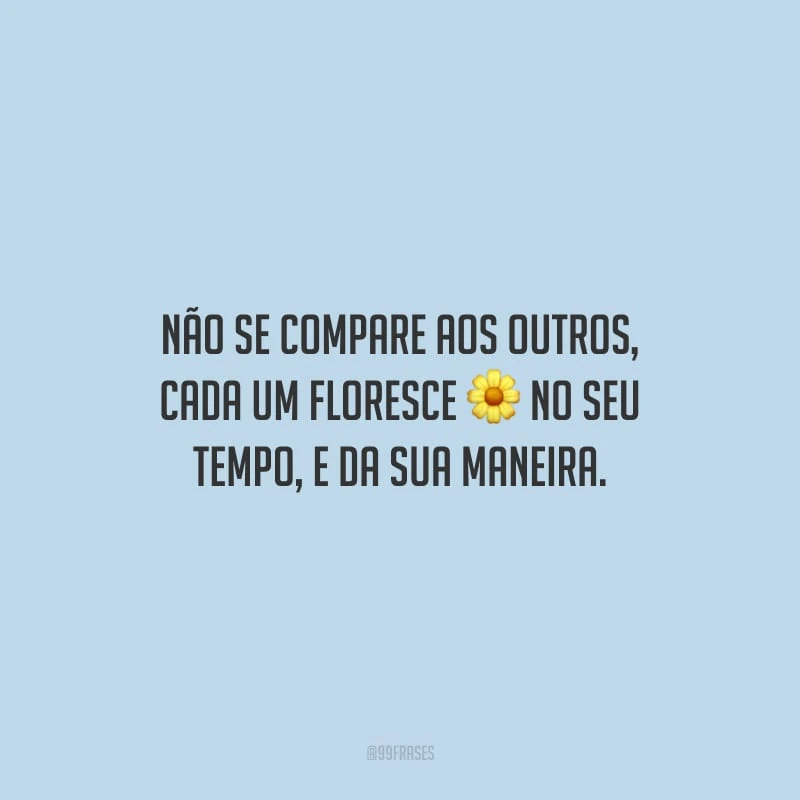 Não se compare aos outros, cada um floresce no seu tempo, e da sua maneira.