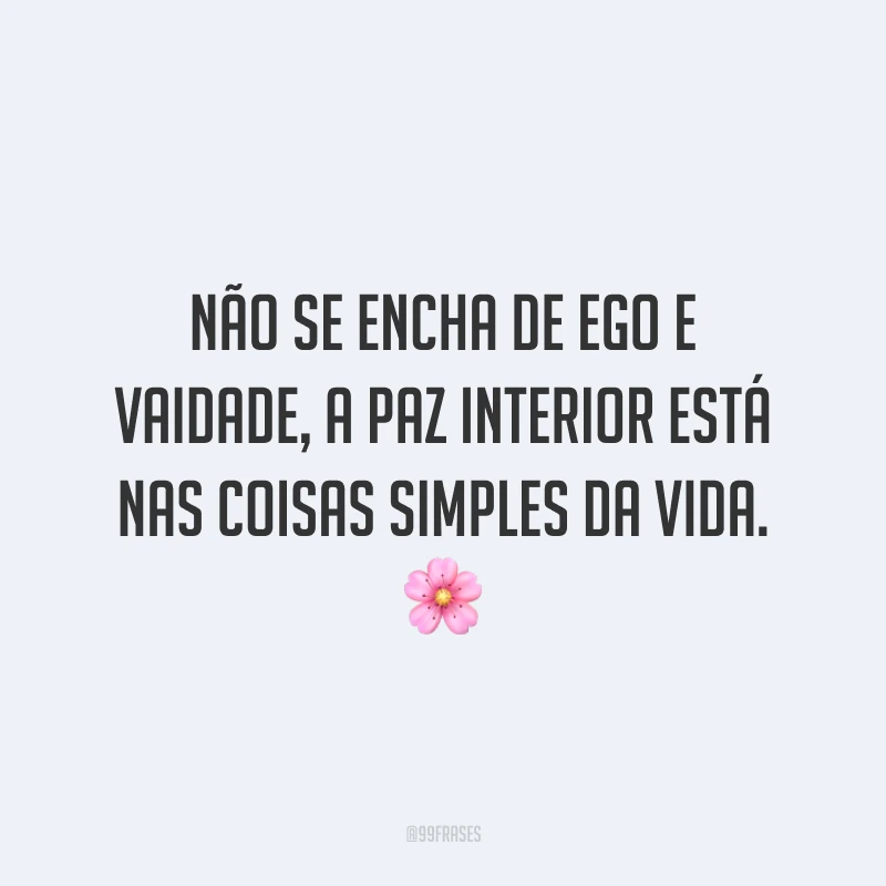 Não se encha de ego e vaidade, a paz interior está nas coisas simples da vida.