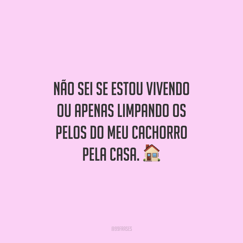 Não sei se estou vivendo ou apenas limpando os pelos do meu cachorro pela casa.