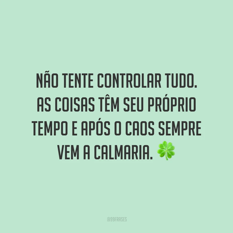Não tente controlar tudo. As coisas têm seu próprio tempo e após o caos sempre vem a calmaria.