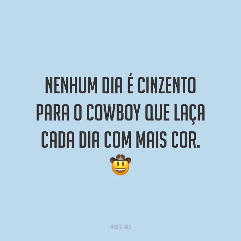 Nenhum dia é cinzento para o cowboy que laça cada dia com mais cor. 🤠