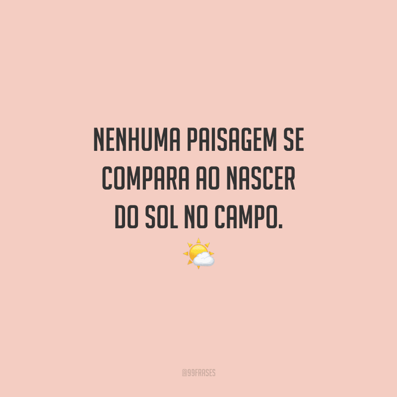 Nenhuma paisagem se compara ao nascer do sol no campo.