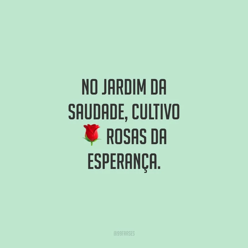 No jardim da saudade, cultivo rosas da esperança.