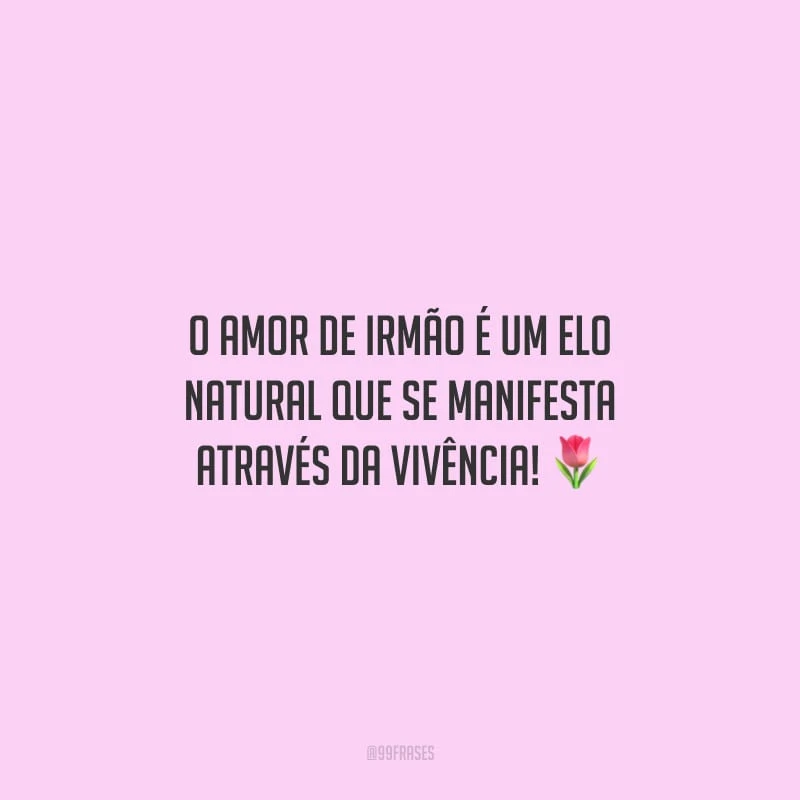 O amor de irmão é um elo natural que se manifesta através da vivência!
