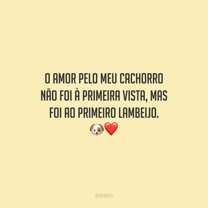 O amor pelo meu cachorro não foi à primeira vista, mas foi ao primeiro lambeijo.