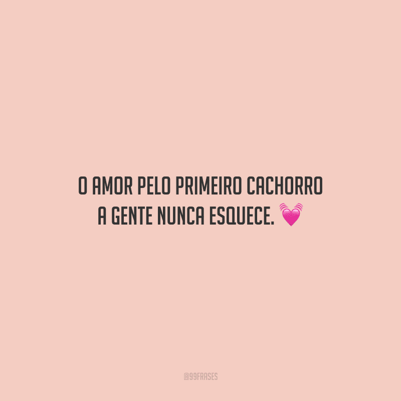 O amor pelo primeiro cachorro a gente nunca esquece.