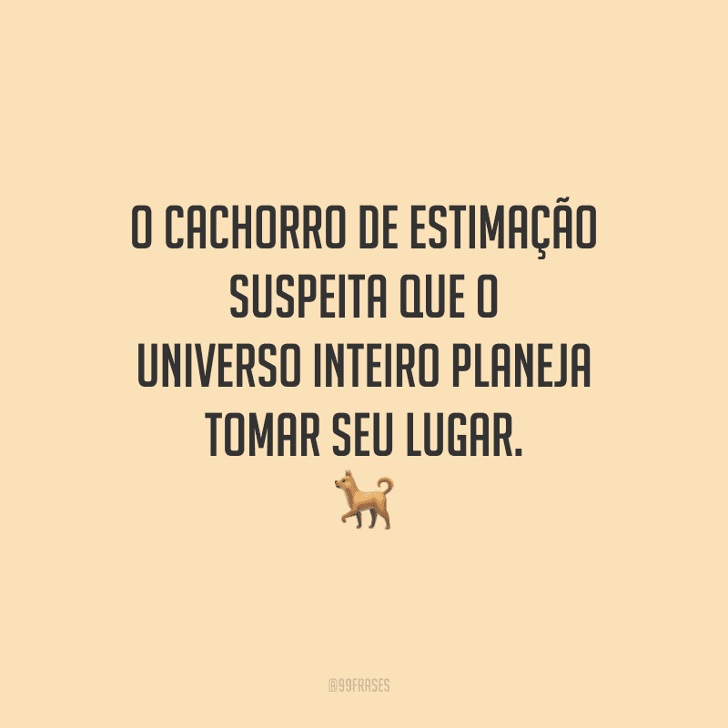 O cachorro de estimação suspeita que o universo inteiro planeja tomar seu lugar.