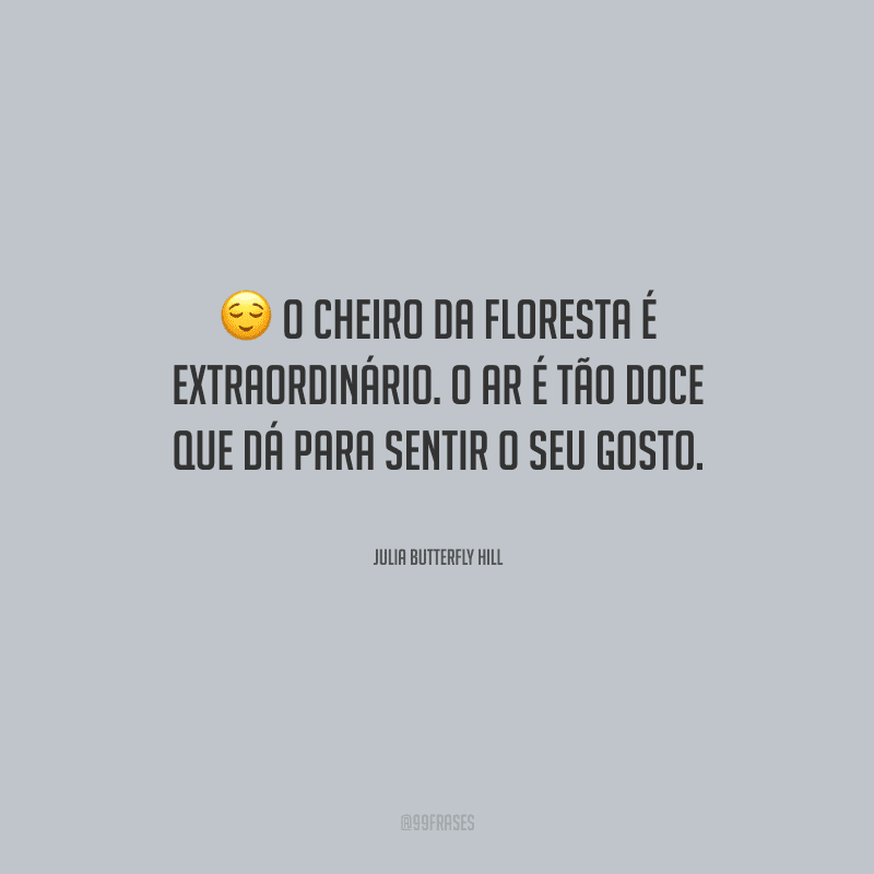 O cheiro da floresta é extraordinário. O ar é tão doce que dá para sentir o seu gosto.