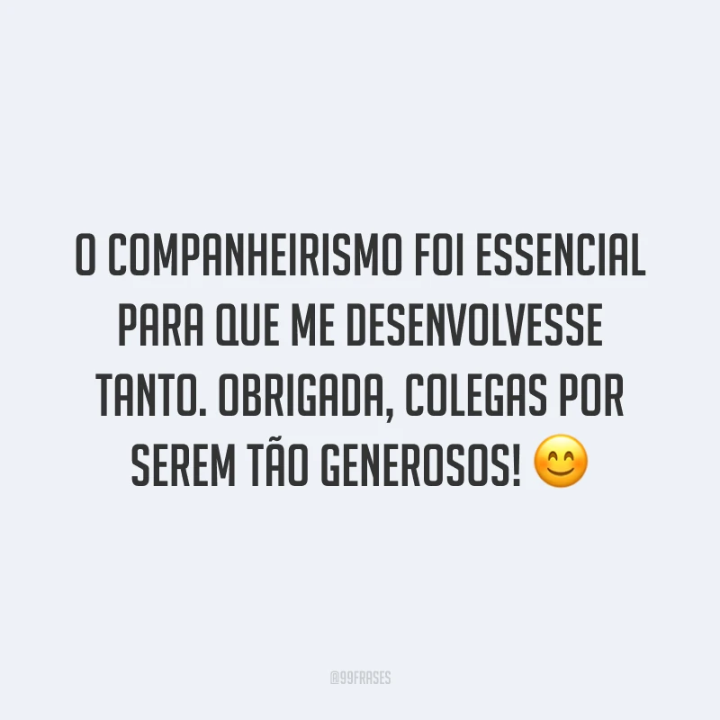 O companheirismo foi essencial para que me desenvolvesse tanto. Obrigada, colegas por serem tão generosos! 😊