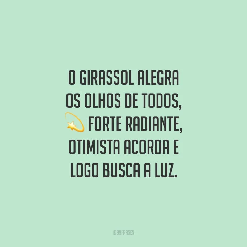 O girassol alegra os olhos de todos, forte radiante, otimista acorda e logo busca a luz.