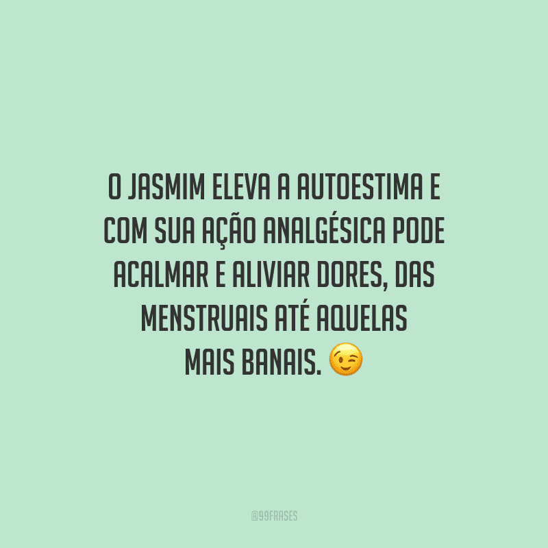 O jasmim eleva a autoestima e com sua ação analgésica pode acalmar e aliviar dores, das menstruais até aquelas mais banais.