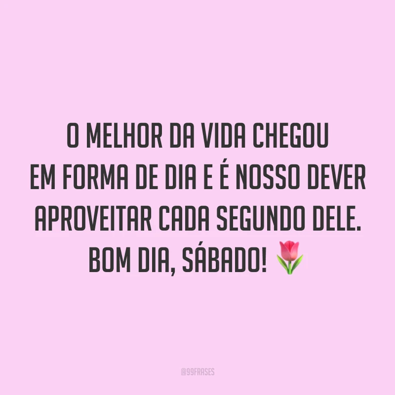 O melhor da vida chegou em forma de dia e é nosso dever aproveitar cada segundo dele. Bom dia, sábado! 🌷
