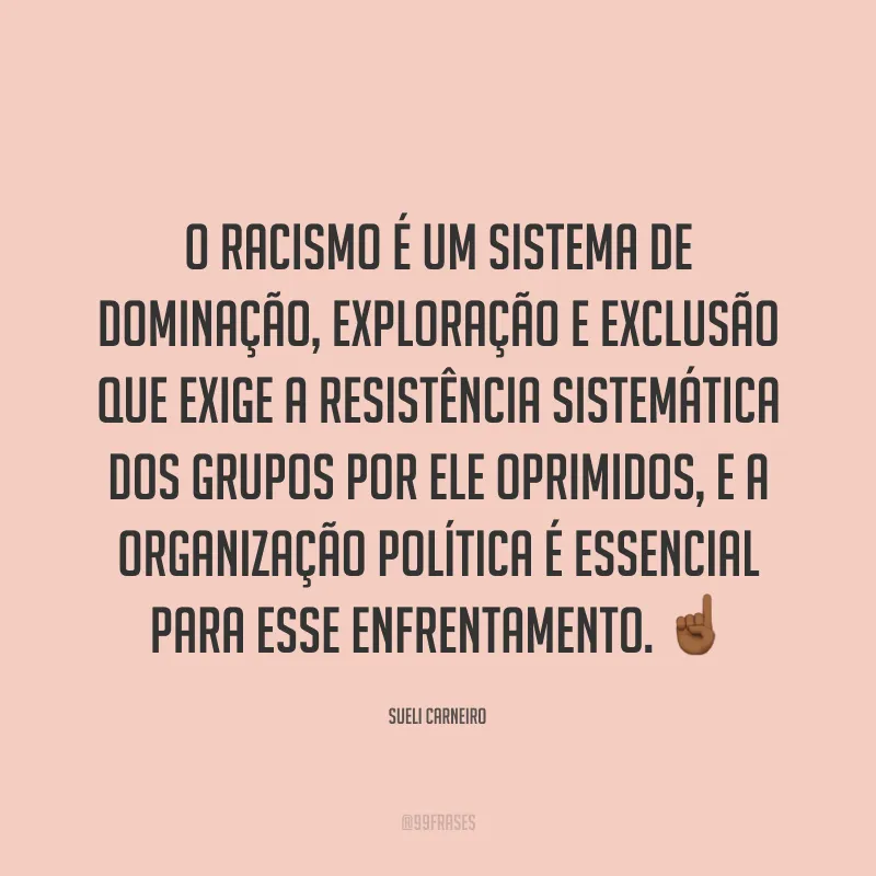 O racismo é um sistema de dominação, exploração e exclusão que exige a resistência sistemática dos grupos por ele oprimidos, e a organização política é essencial para esse enfrentamento. ☝🏾