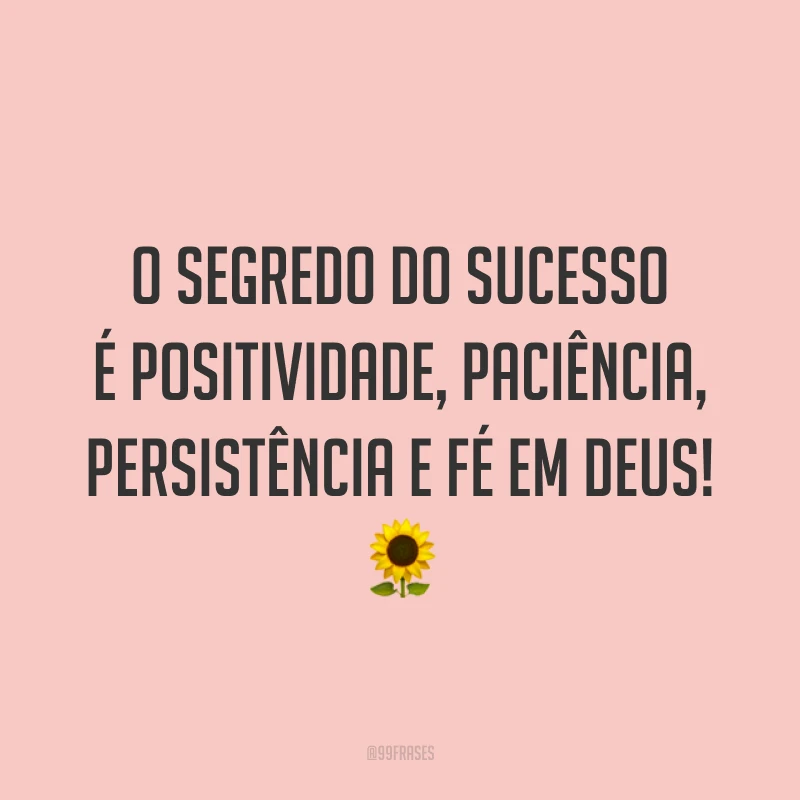 O segredo do sucesso é positividade, paciência, persistência e fé em Deus! 🌻