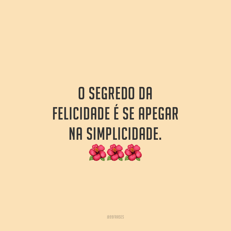 O segredo da felicidade é se apegar na simplicidade.