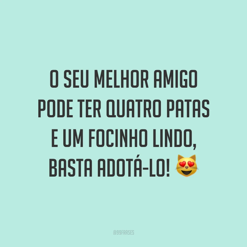 O seu melhor amigo pode ter quatro patas e um focinho lindo, basta adotá-lo! 😻