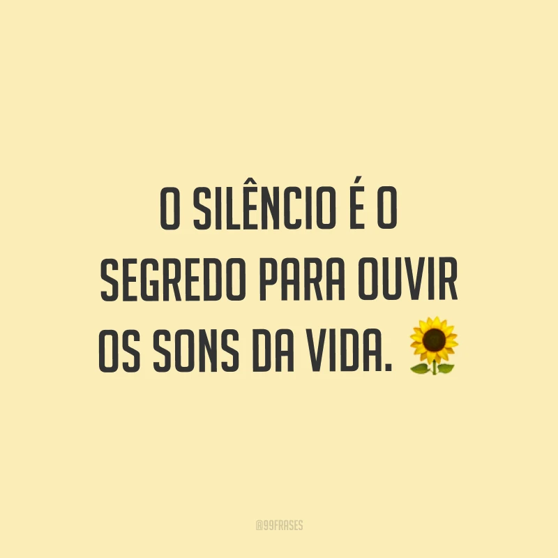 O silêncio é o segredo para ouvir os sons da vida. ?
