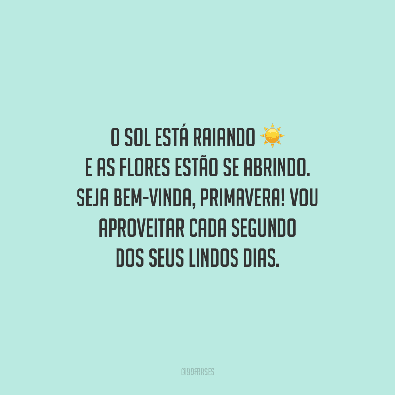 O sol está raiando e as flores estão se abrindo. Seja bem-vinda, primavera! Vou aproveitar cada segundo dos seus lindos dias.