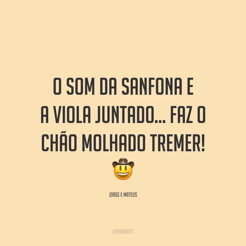 O som da sanfona e a viola juntado... faz o chão molhado tremer! 🤠