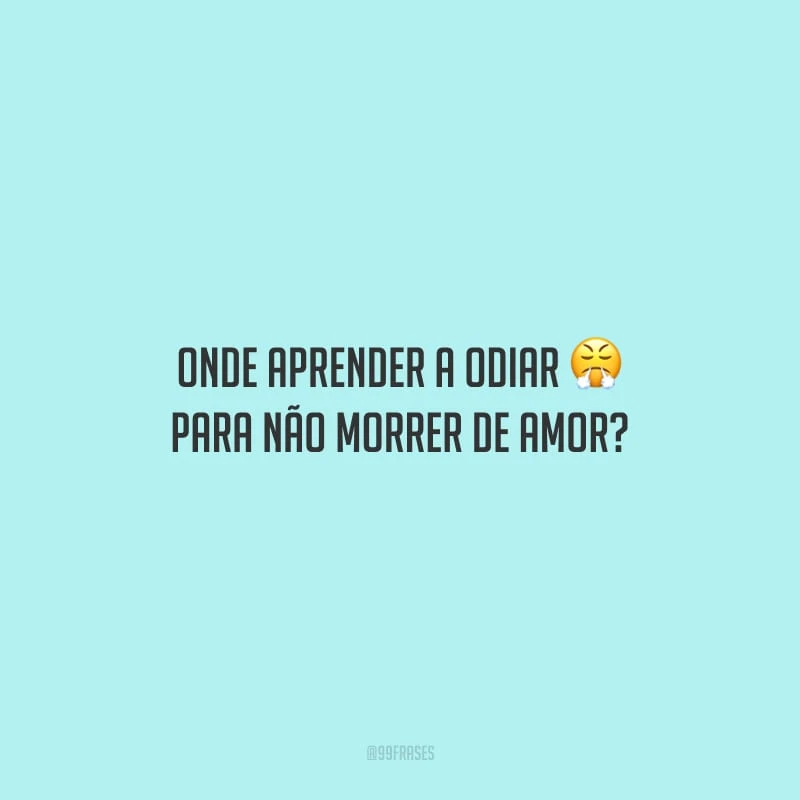 Onde aprender a odiar para não morrer de amor?