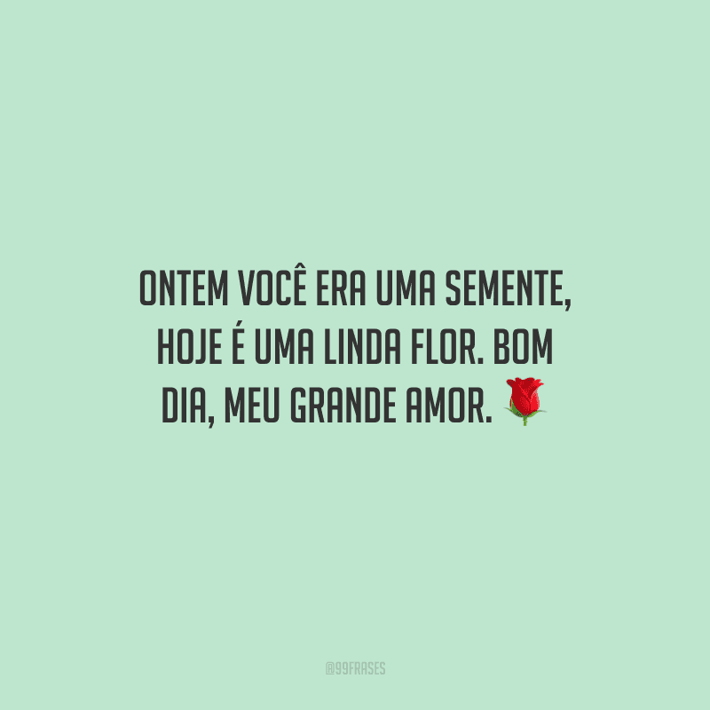 Ontem você era uma semente, hoje é uma linda flor. Bom dia, meu grande amor. 