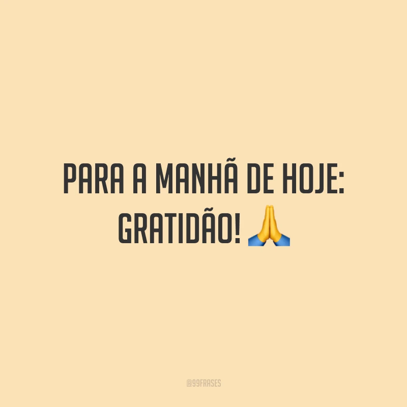 Para a manhã de hoje: gratidão! 🙏