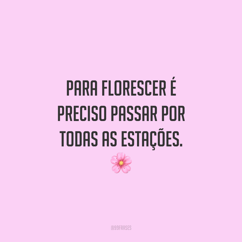 Para florescer é preciso passar por todas as estações.