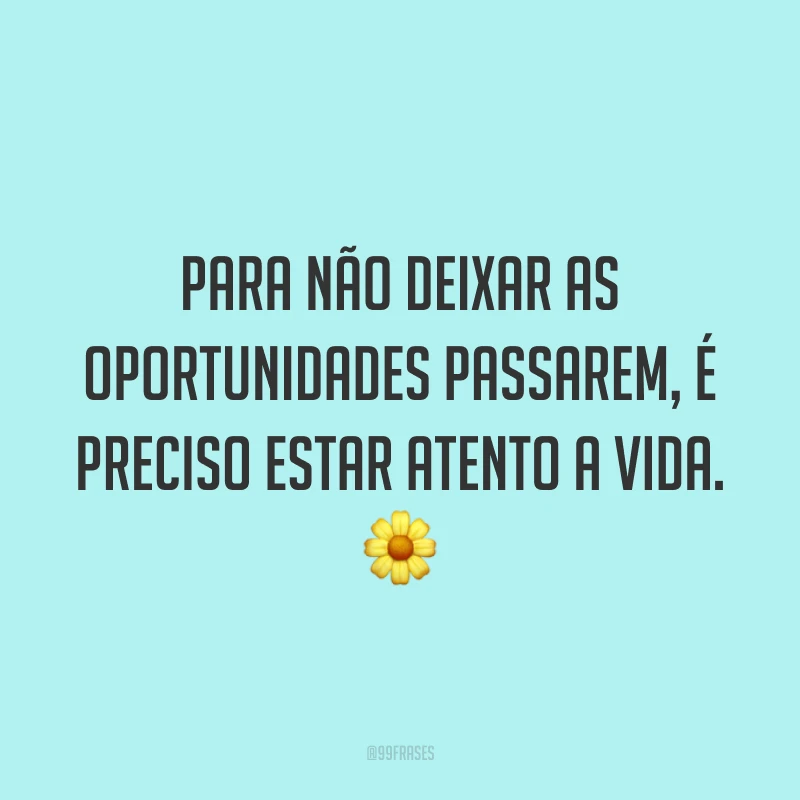 Para não deixar as oportunidades passarem, é preciso estar atento a vida. 🌼