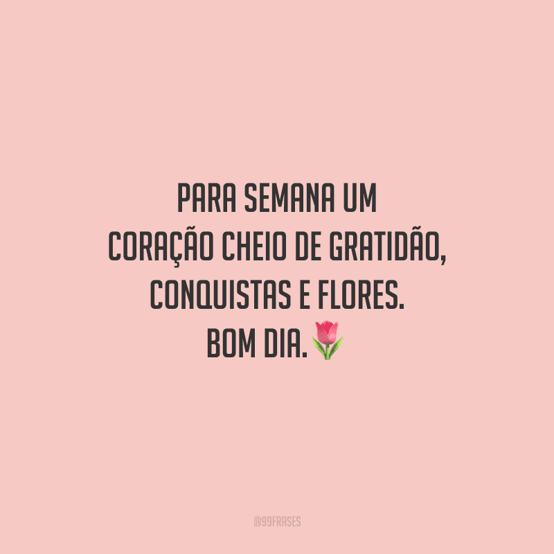 Para semana um coração cheio de gratidão, conquistas e flores. Bom dia.