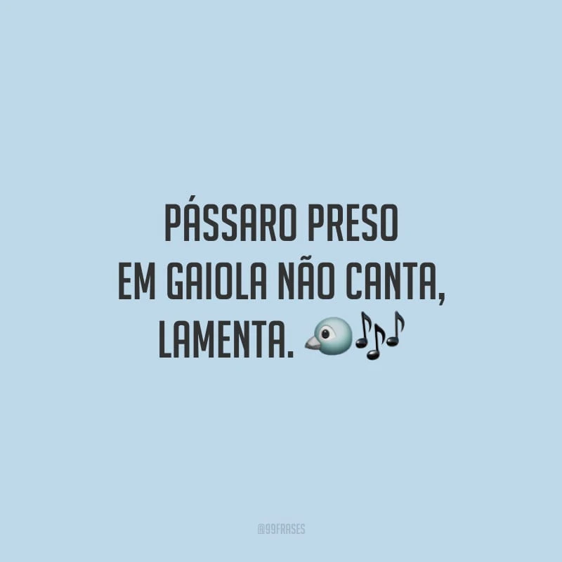 Pássaro preso em gaiola não canta, lamenta. 