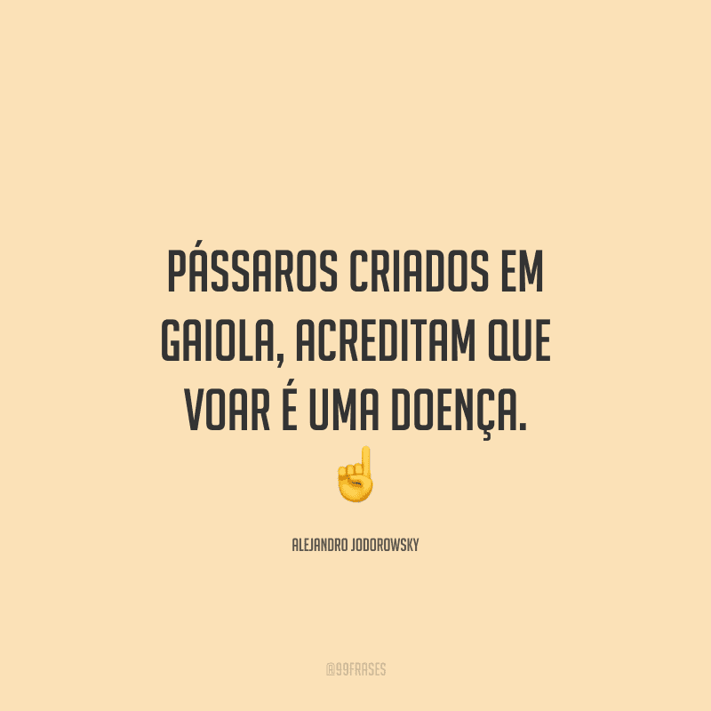 Pássaros criados em gaiola, acreditam que voar é uma doença. 