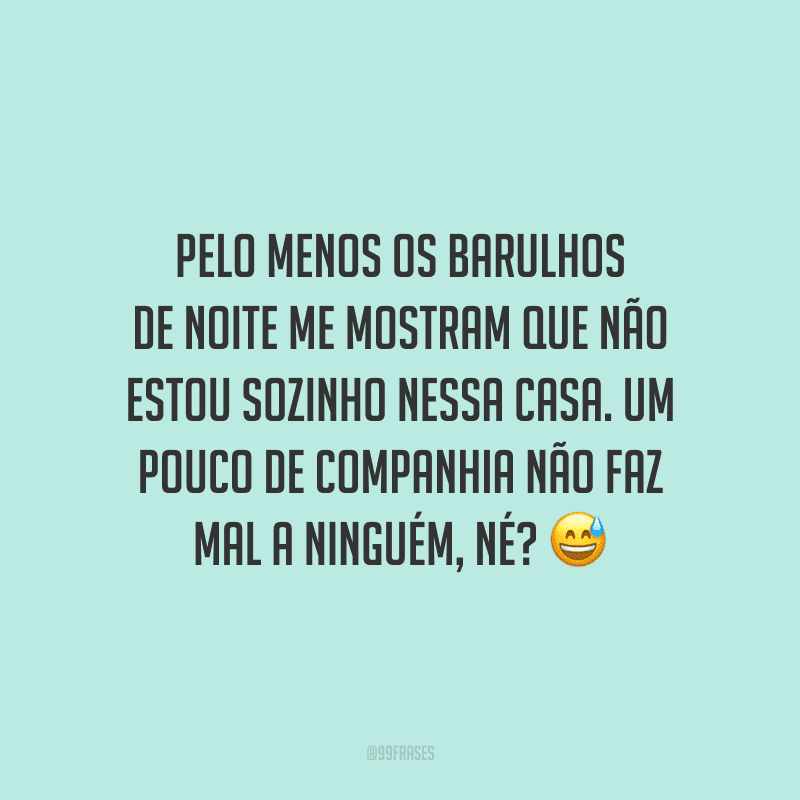 Pelo menos os barulhos de noite me mostram que não estou sozinho nessa casa. Um pouco de companhia não faz mal a ninguém, né?