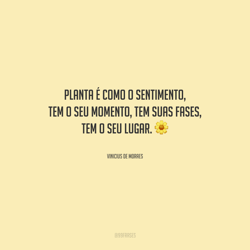 Planta é como o sentimento, tem o seu momento, tem suas fases, tem o seu lugar.