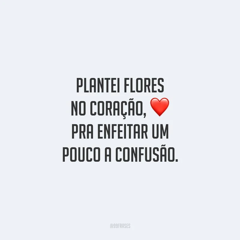 Plantei flores no coração, pra enfeitar um pouco a confusão. 