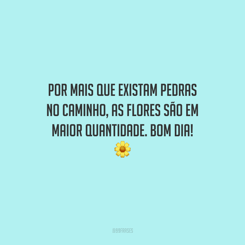 Por mais que existam pedras no caminho, as flores são em maior quantidade. Bom dia! 