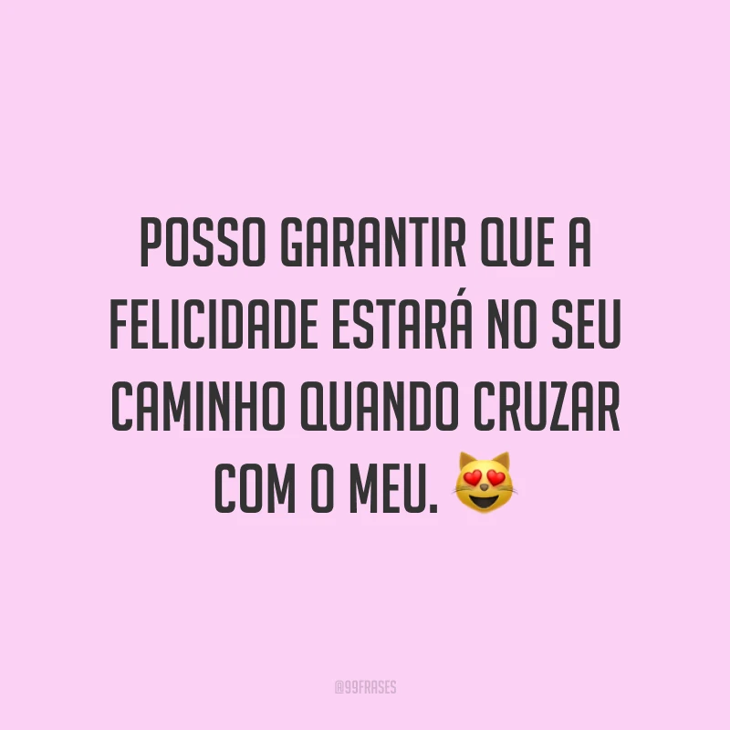 Posso garantir que a felicidade estará no seu caminho quando cruzar com o meu. 😻