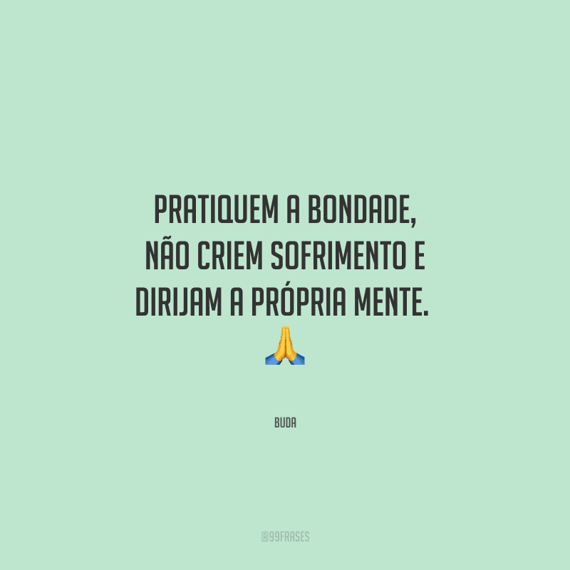 Pratiquem a bondade, não criem sofrimento e dirijam a própria mente. 