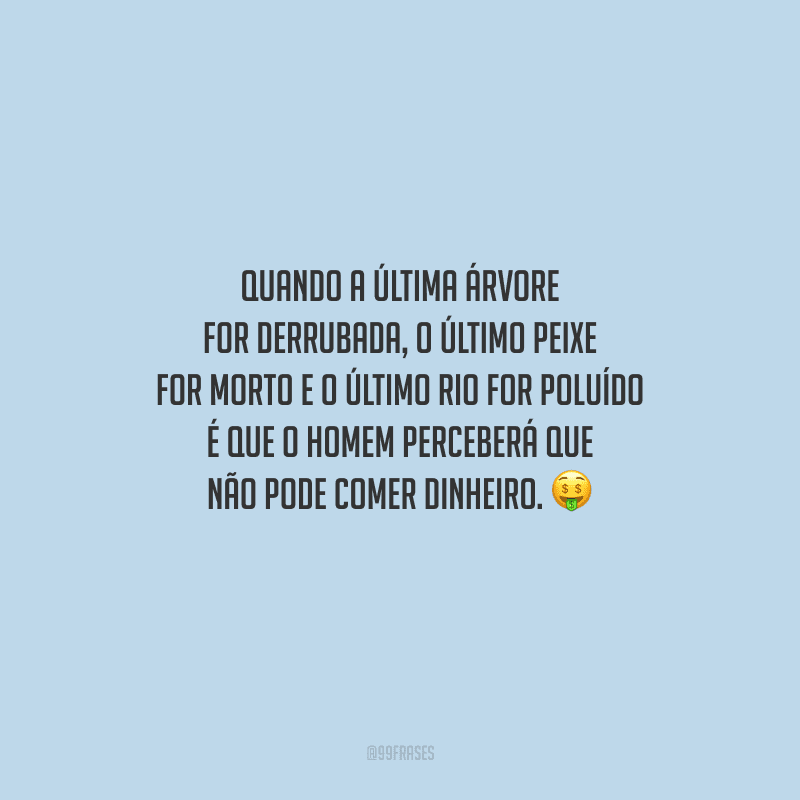 Quando a última árvore for derrubada, o último peixe for morto e o último rio for poluído é que o homem perceberá que não pode comer dinheiro.