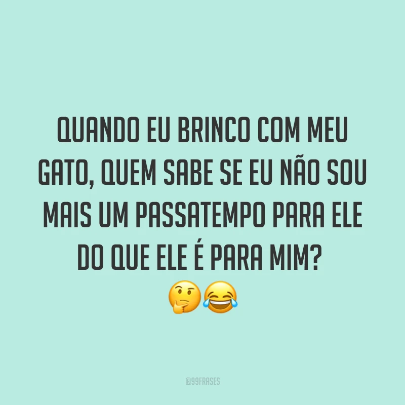 Quando eu brinco com meu gato, quem sabe se eu não sou mais um passatempo para ele do que ele é para mim? 🤔😂