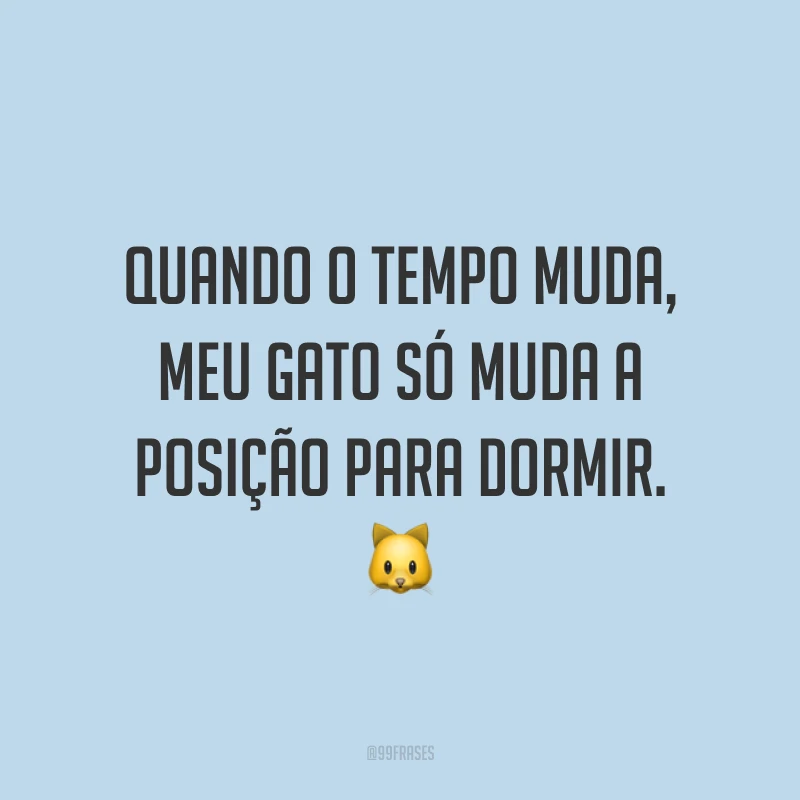 Quando o tempo muda, meu gato só muda a posição para dormir. 🐱