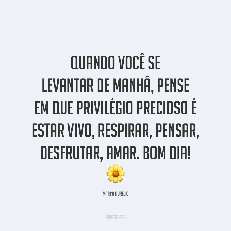 Quando você se levantar de manhã, pense em que privilégio precioso é estar vivo, respirar, pensar, desfrutar, amar. Bom dia! 🌼